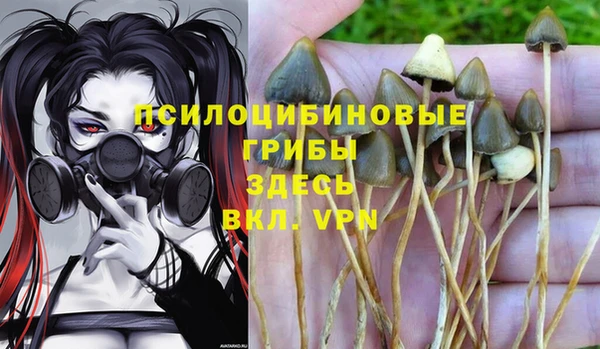 твердый Аркадак
