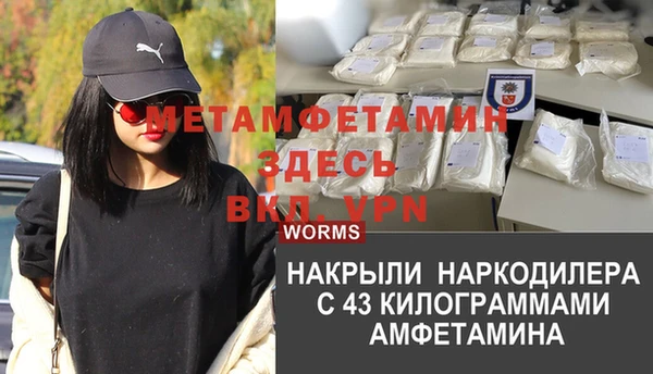 твердый Аркадак