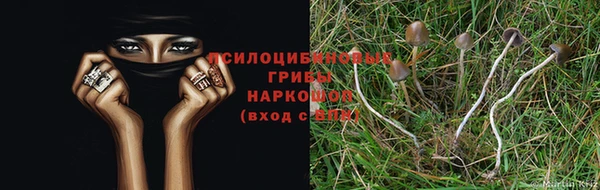 винт Армянск